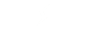 Super Fast Hosting with LiteSpeed